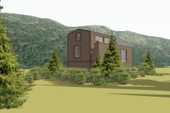 Image-3